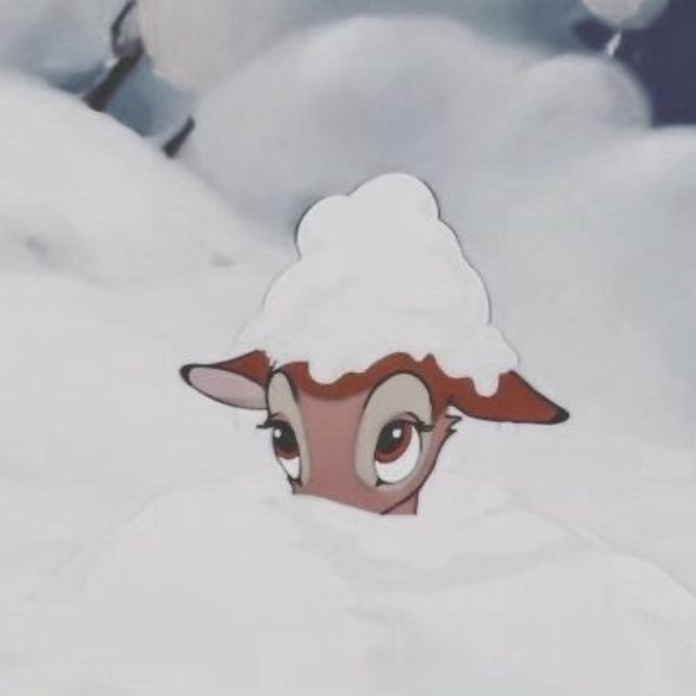 Meet your Posher, Emely